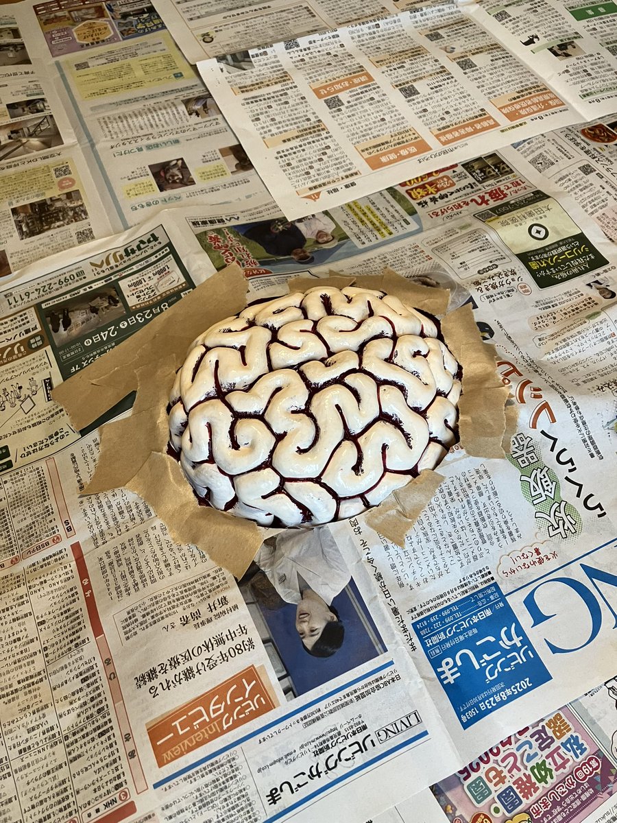 おはようボーグ
ブレイン🧠です