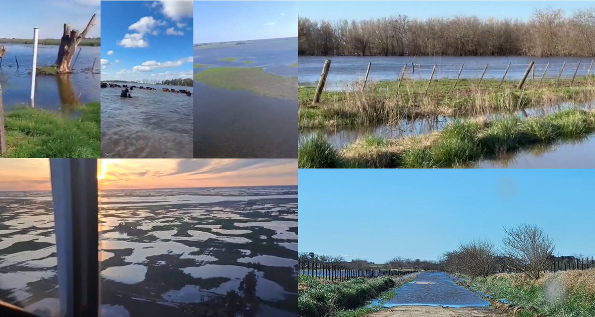 JorgeLMercau's tweet photo. 📣#SEPA @intaargentina
MAPA #Agua #Excedente
Estima cuanto se genera x década. NO su destino. Asume sale d sistema. 

En la realidad se procesa en paisaje
Va a Napa, Bajos, Lagunas (en Pampa Interior y P. Deprimida) y/o Ríos (en P. ondulada) https://t.co/Mcq5s5i2gS