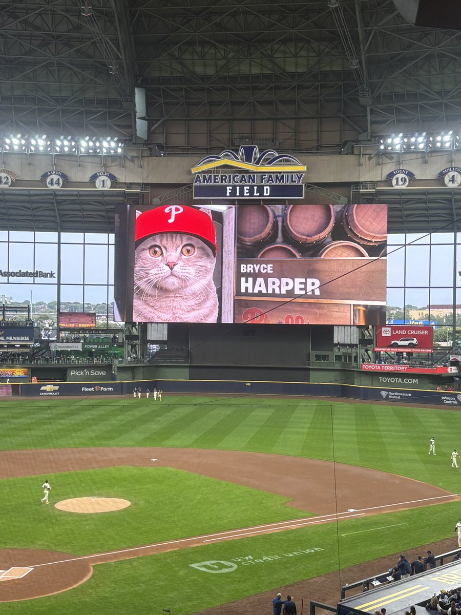 lochlahn's tweet image. It’s Bark at the Park Night in Milwaukee so naturally all the Phillies are cats