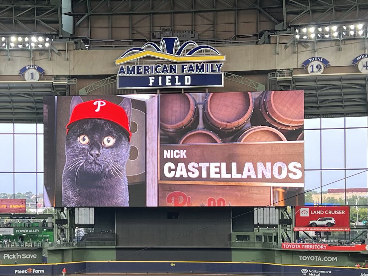 Adam McCalvy tweet media