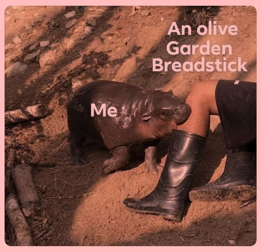 𝚗𝚘𝚖𝚗𝚘𝚖𝚗𝚘𝚖𝚗𝚘𝚖𝚗𝚘𝚖 🤭