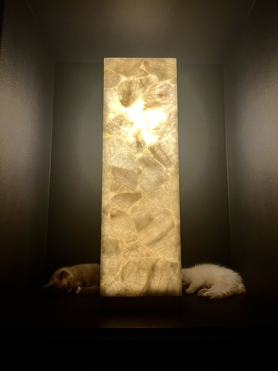 David Coverdale tweet media