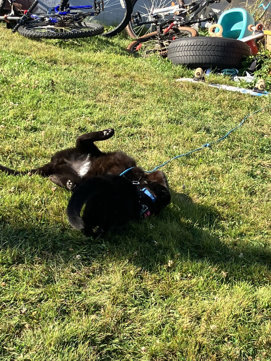 Having some supervised outside time