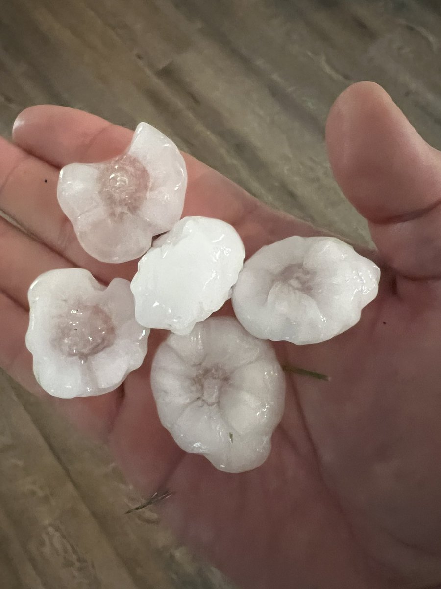 toddvogts's tweet image. Decent size hail falling in Moundridge, Kansas. #kwch #kswx