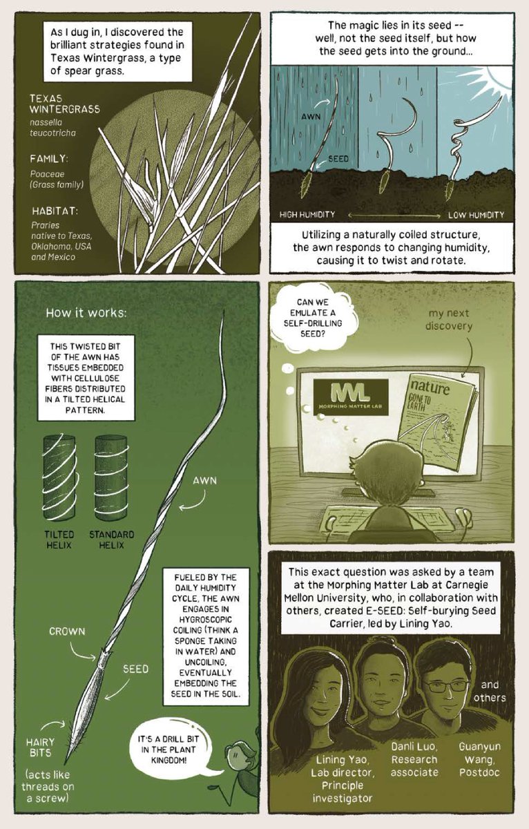 Week 2 of the #HowToTouchGrass Kickstarter campaign is here, and with it a new ✨ PREVIEWS SECTION ✨ of the campaign! 

Check back often for the latest inside-look at this massive tome of grass-touching wonders: kickstarter.com/projects/power…