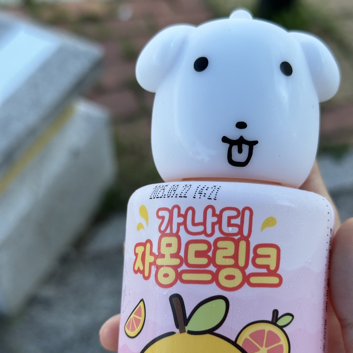 가나디 사냥하고 출근했어요...🥹