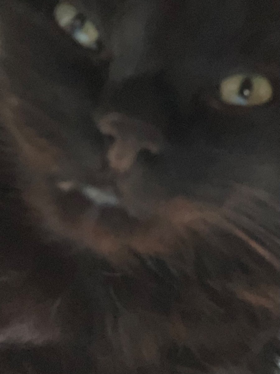 ThomasWankel's tweet photo. @coinmun @ibizafinalboss @BasementRon @everybodyholdX @MarsPygmy_ @CaptainBNB_bsc @HegeCoin @CommonBird_XRPL @ClassyXoge @RoaringKitty_22 @HokkaiduERC Roaring kitty says 
Don’t mess with me 
Get your NFT
MILLIONS WILL ROAR https://t.co/lKe6RitpNb
