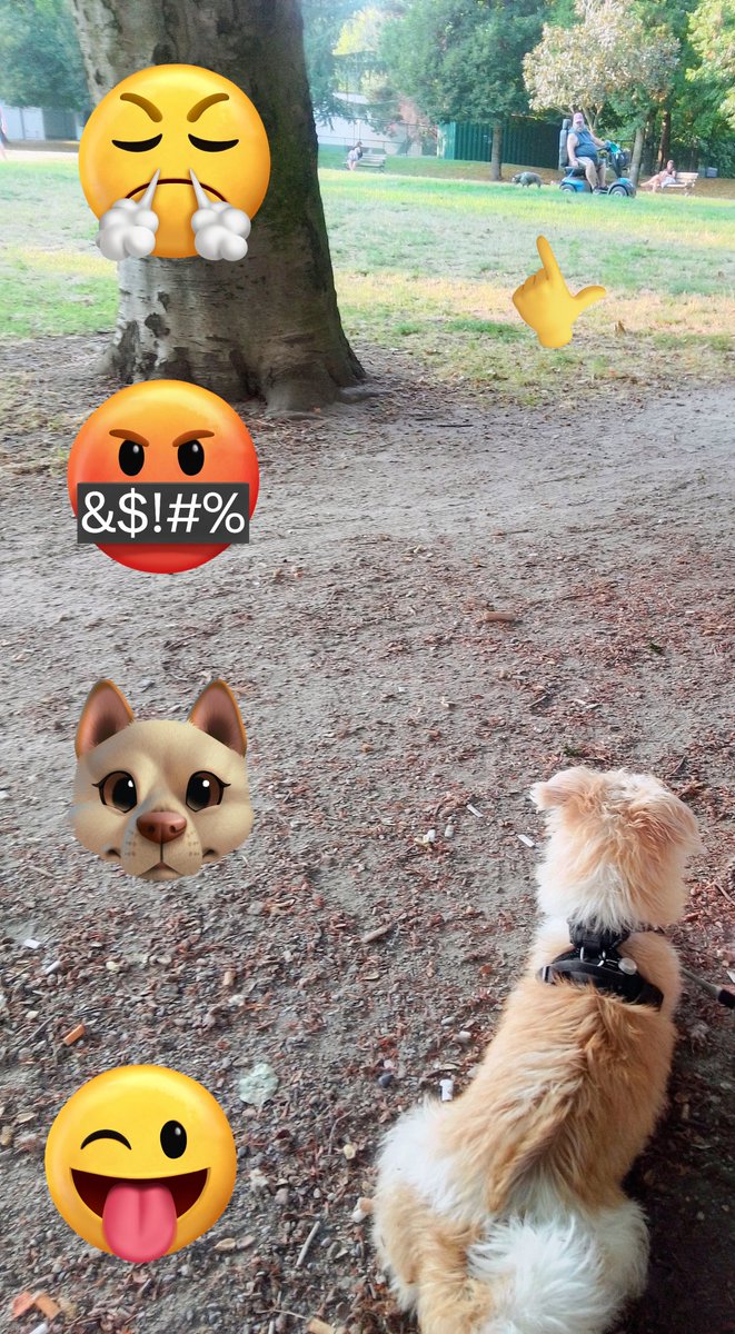 LebrockTony's tweet photo. Wed๐
ShadeThrow๐ซฐ๐๐พ๐
๐พ๐๐ค๐คMilo๐ค๐ค๐๐พ๐ซฐ
#throwingshade #dogattitude #throwingitback #eyeballing
#littledogs #dogsday #growl
#MadamRiley #milo #shader https://t.co/NV5DxUtBxW