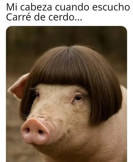 🤣