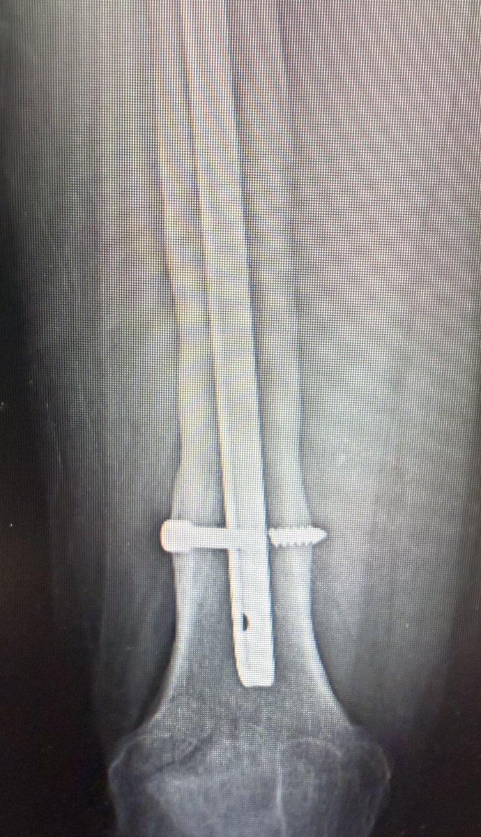 Very General Orthopaedist tweet media