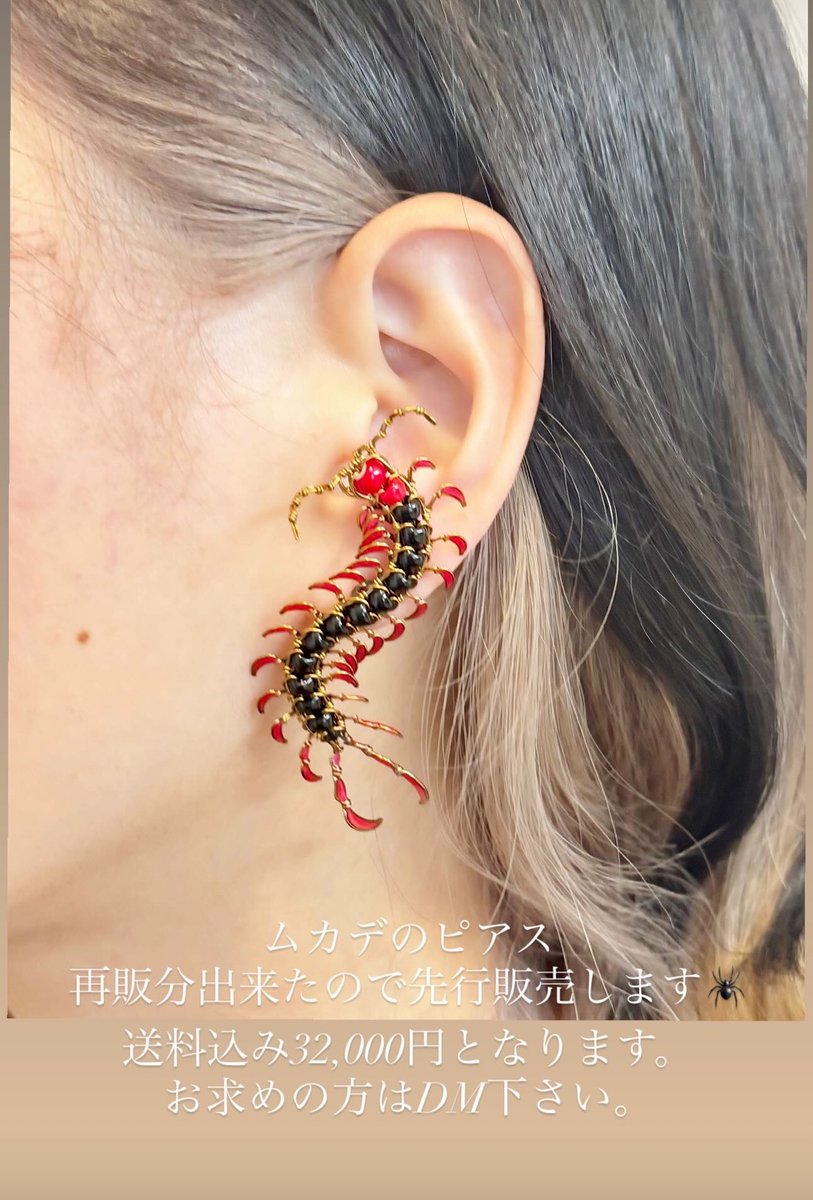 勇*木様 【レア】蟲彩 蜘蛛針金細工ピアス 片耳用