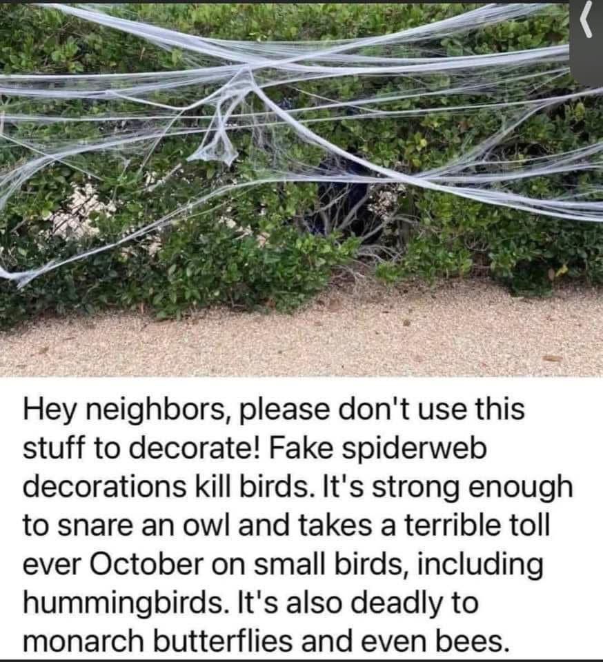 HeatherAnnEstv's tweet photo. Please don’t use this outside #protectwildlife https://t.co/RK3jTI2wrX