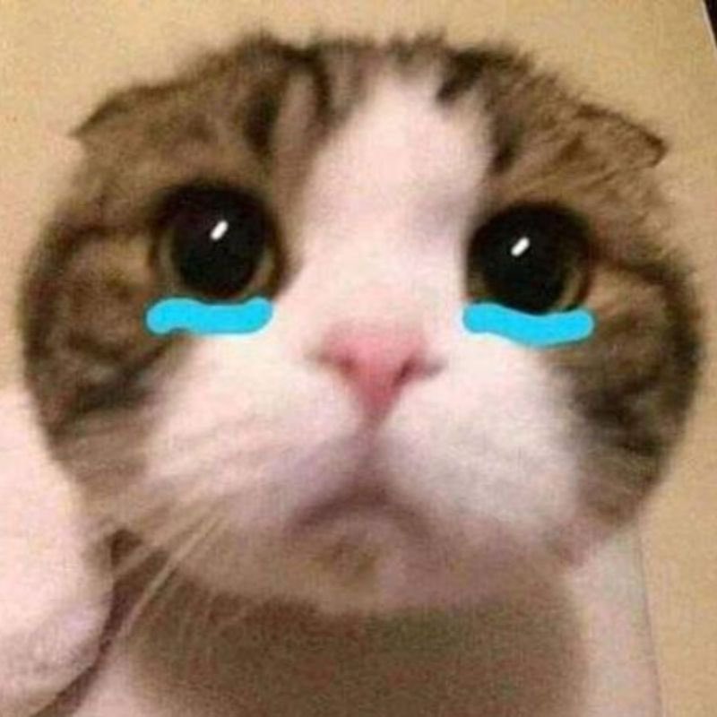 tiphamdraw's tweet image. 🎨 I share my art and little chibi moments here – follow me to see more cute stuff every week ✨