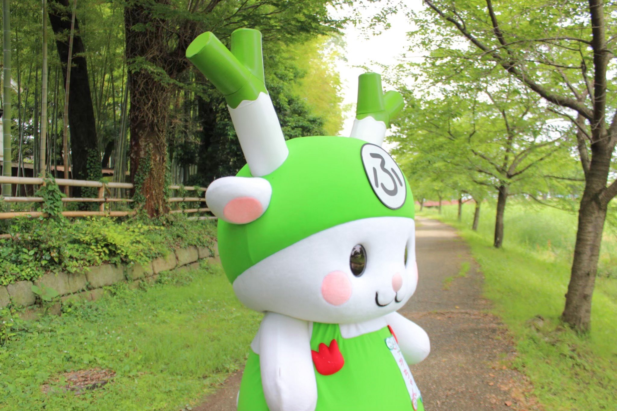 ふっかちゃんページです！2点セットアップ ふっかちゃんページ