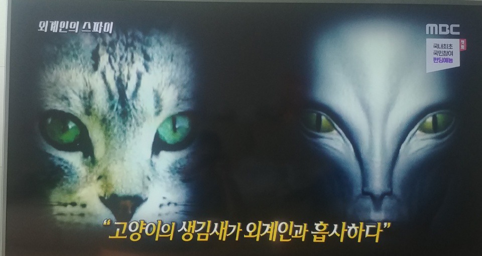 공이로🐾 (@015015_iro) on Twitter photo 