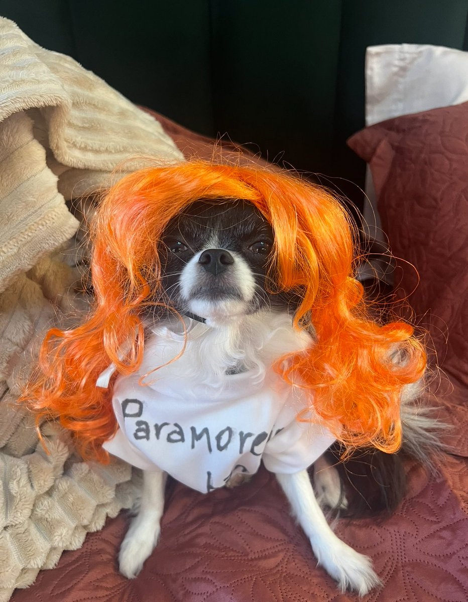 i got ice in my OJ i'm a cold heart bitch