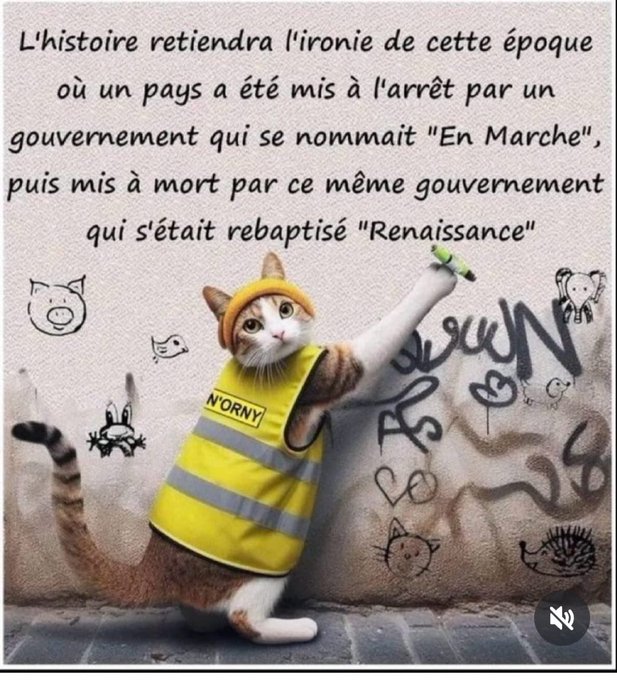 A cat wearing a yellow safety vest with "Norry" written on it, standing on hind legs and holding a marker, painting on a graffiti-covered wall. The wall features doodles of animals like pigs, fish, and hedgehogs. A watermark from X is present.