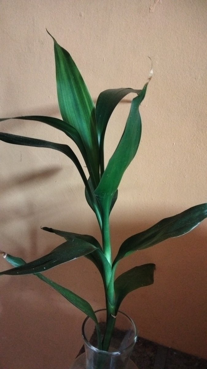 Pagi yang cerah....☺️