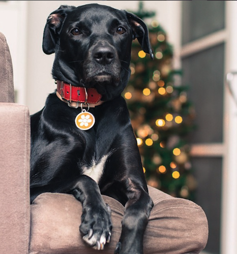 Barry Dequanne tweet media