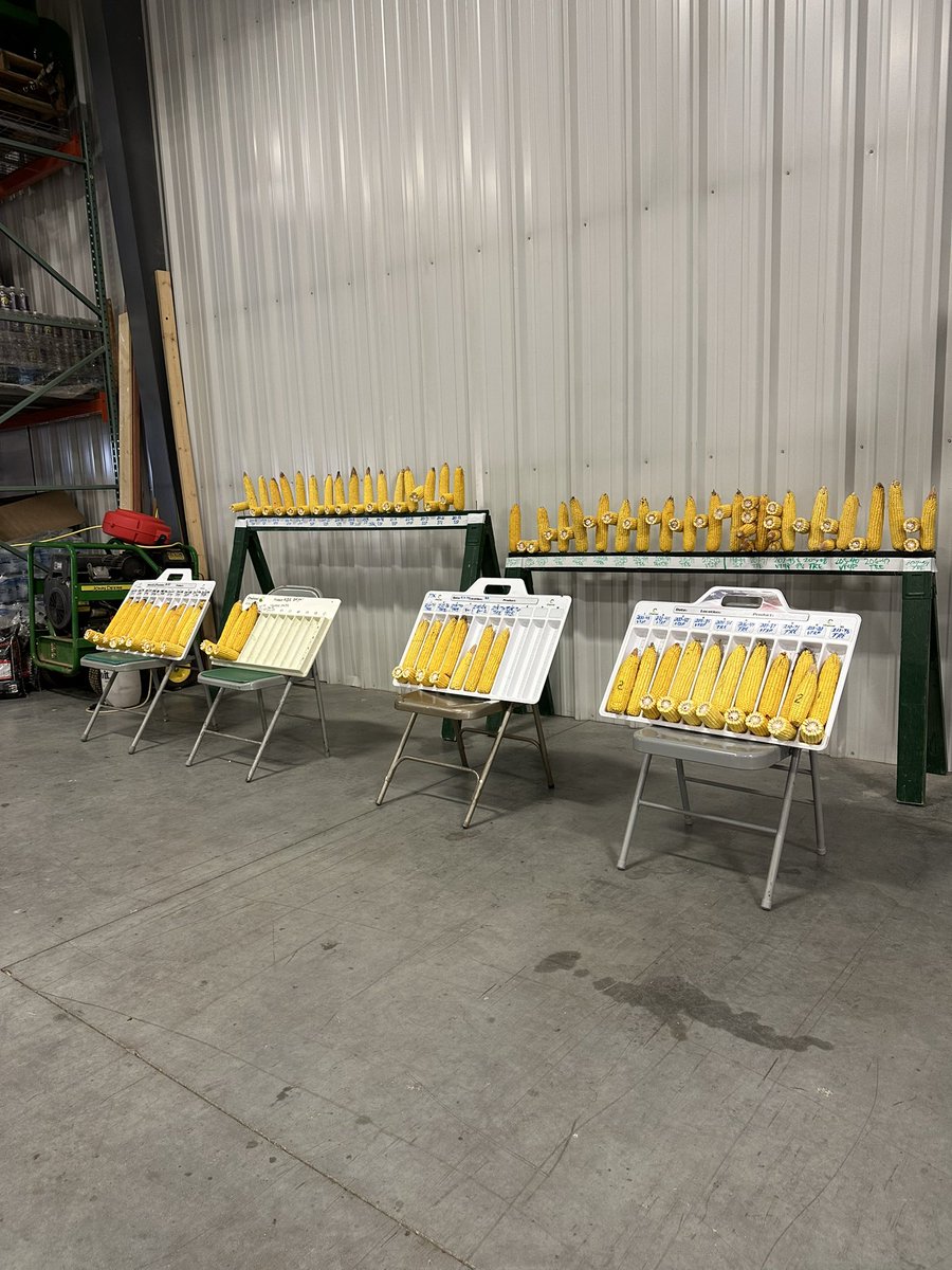 Brooks Brenn tweet media