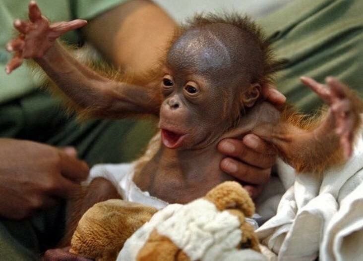 bare butt on a cold toilet seat