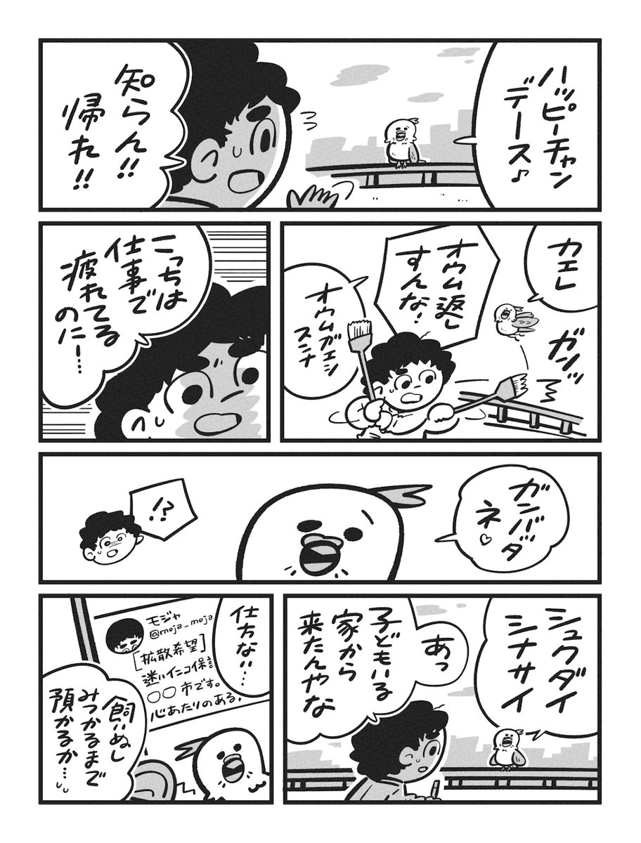 『シアワセッテナンヤネン』 (2/3) 