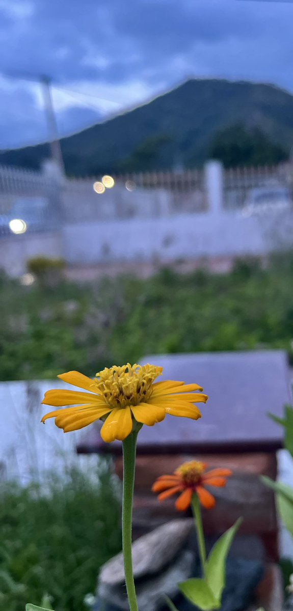 Y así fue la tarde hoy…