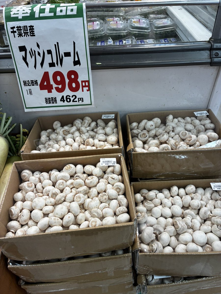 千葉県産 ホワイトマッシュルーム ご好評にお応えして 今日も販売