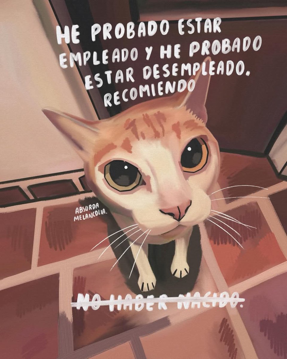 Mailo ˙𐃷˙ tweet media