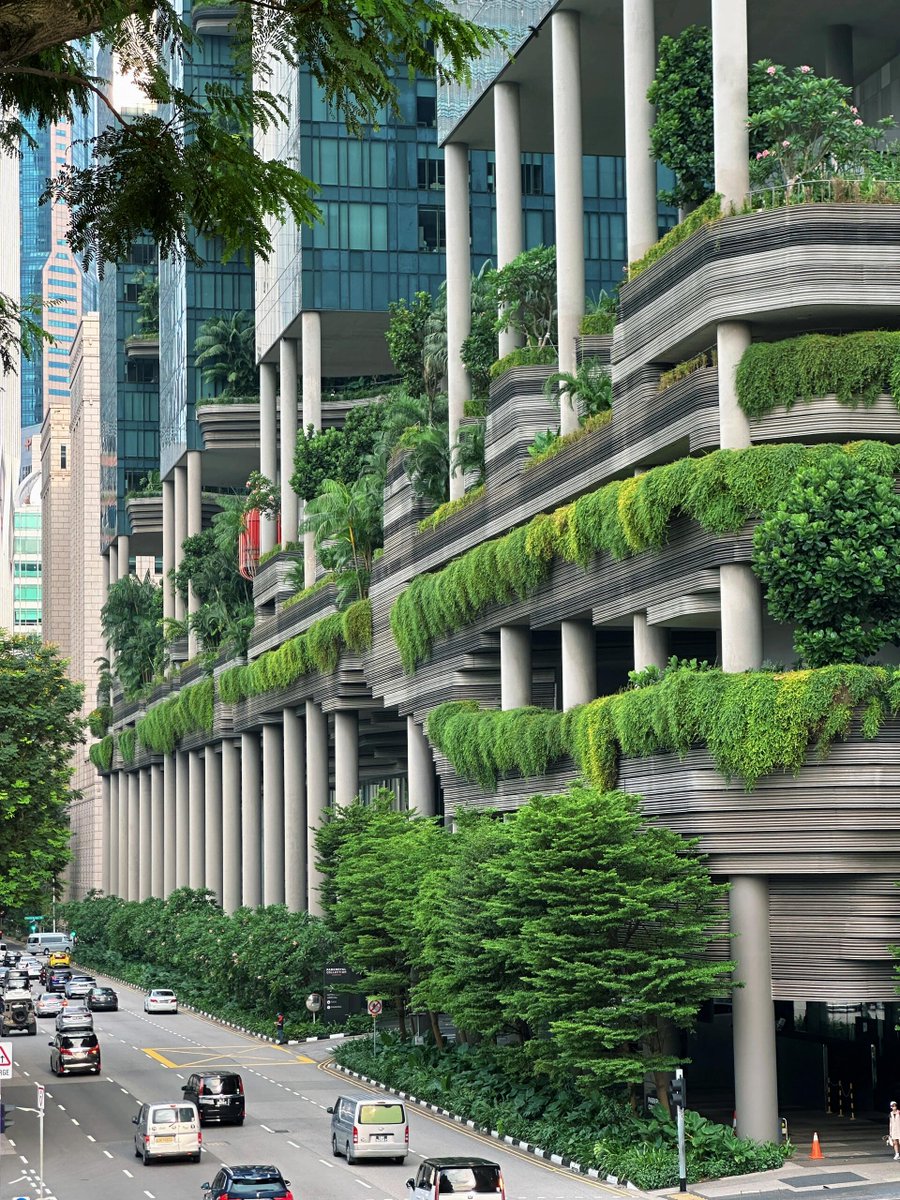 wans_pql's tweet image. 他人があなたに何を言ったり、何をしたりしても、あなたがどんな人間であるかは分かりません。あなたが他人に何を言ったり、何をしたりすることで、あなたがどんな人間であるかが分かります。