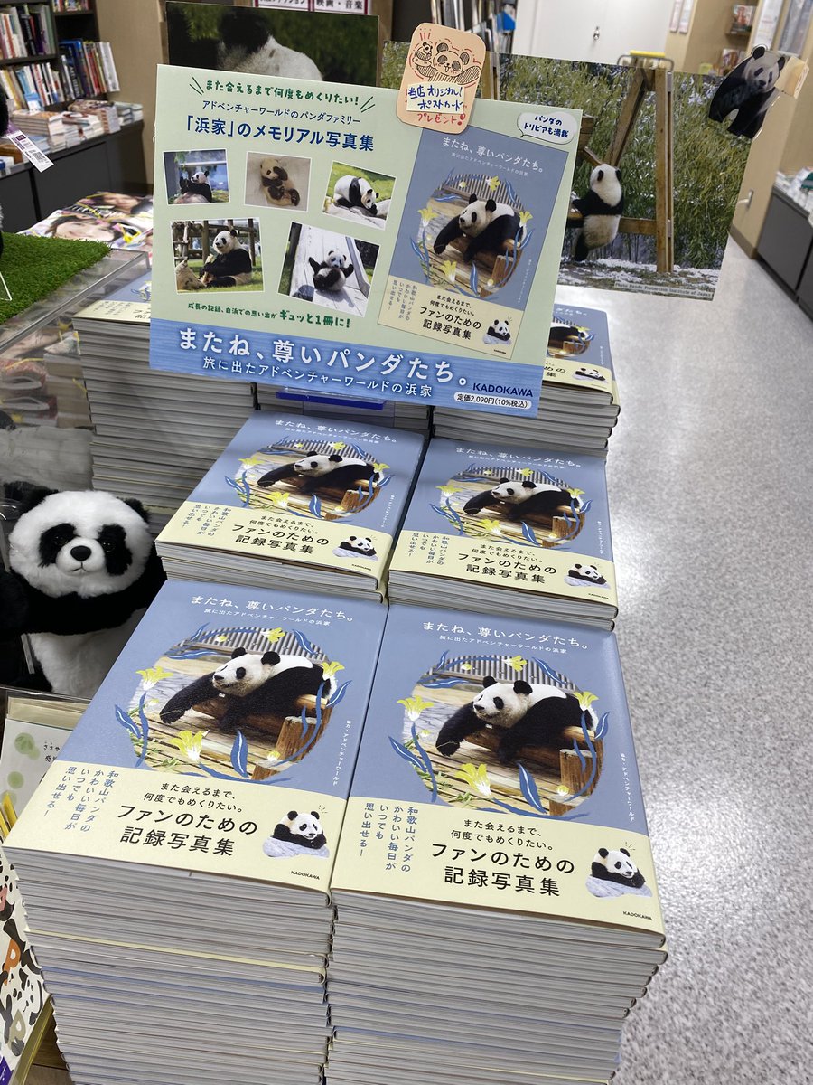 はあ　パンダ×ホリダ パンダ - Search / X