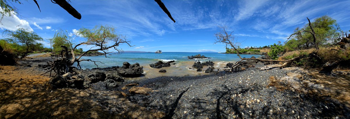 BuyTheDips tweet media