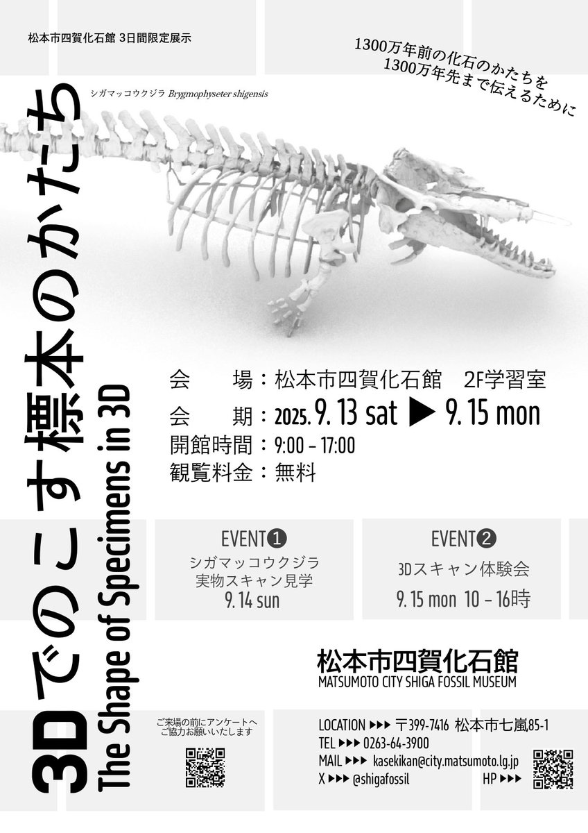 明日からの三連休は四賀化石館へ！ シガマッコウクジラの3Dデータ出力