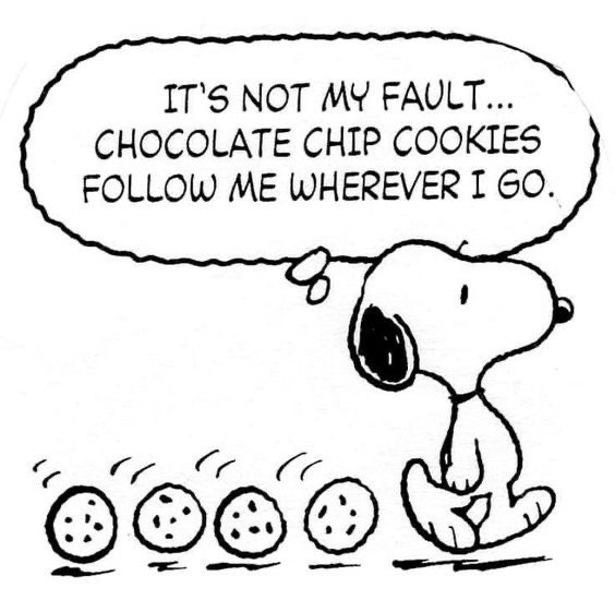 Daily Snoopy (@dailysnoopys) on Twitter photo 