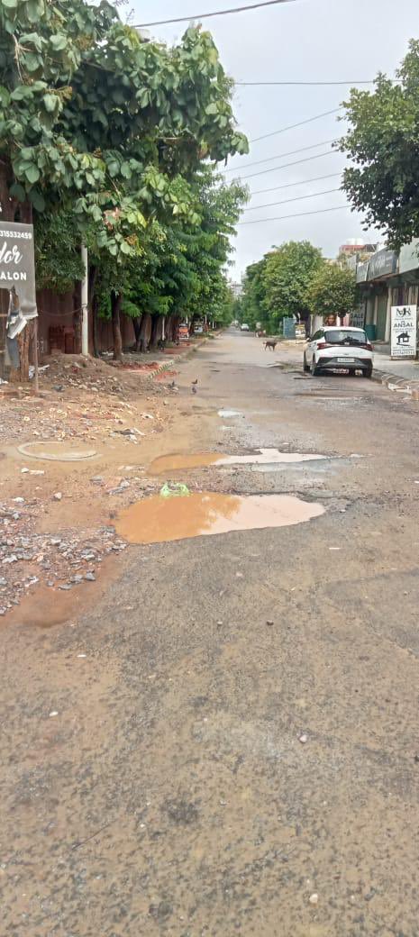 If the #developer has fled, who will build #roads in Sector 67? Who will ensure #safety of #residents ? Why should #residents of #AnsalEsencia keep paying maintenance while living amid #potholes, #sewage, #power cuts &amp; #security breaches?
Premium price, substandard #life.