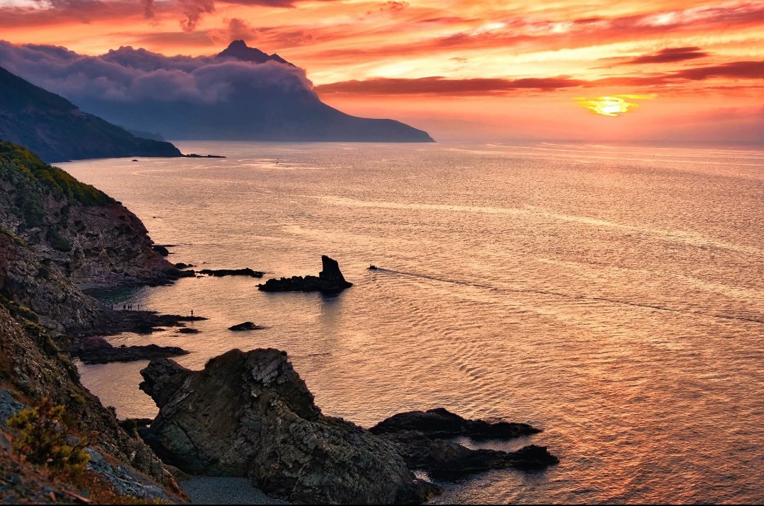 صباح الخير يا وجوه الخير 
تنس #الشلف