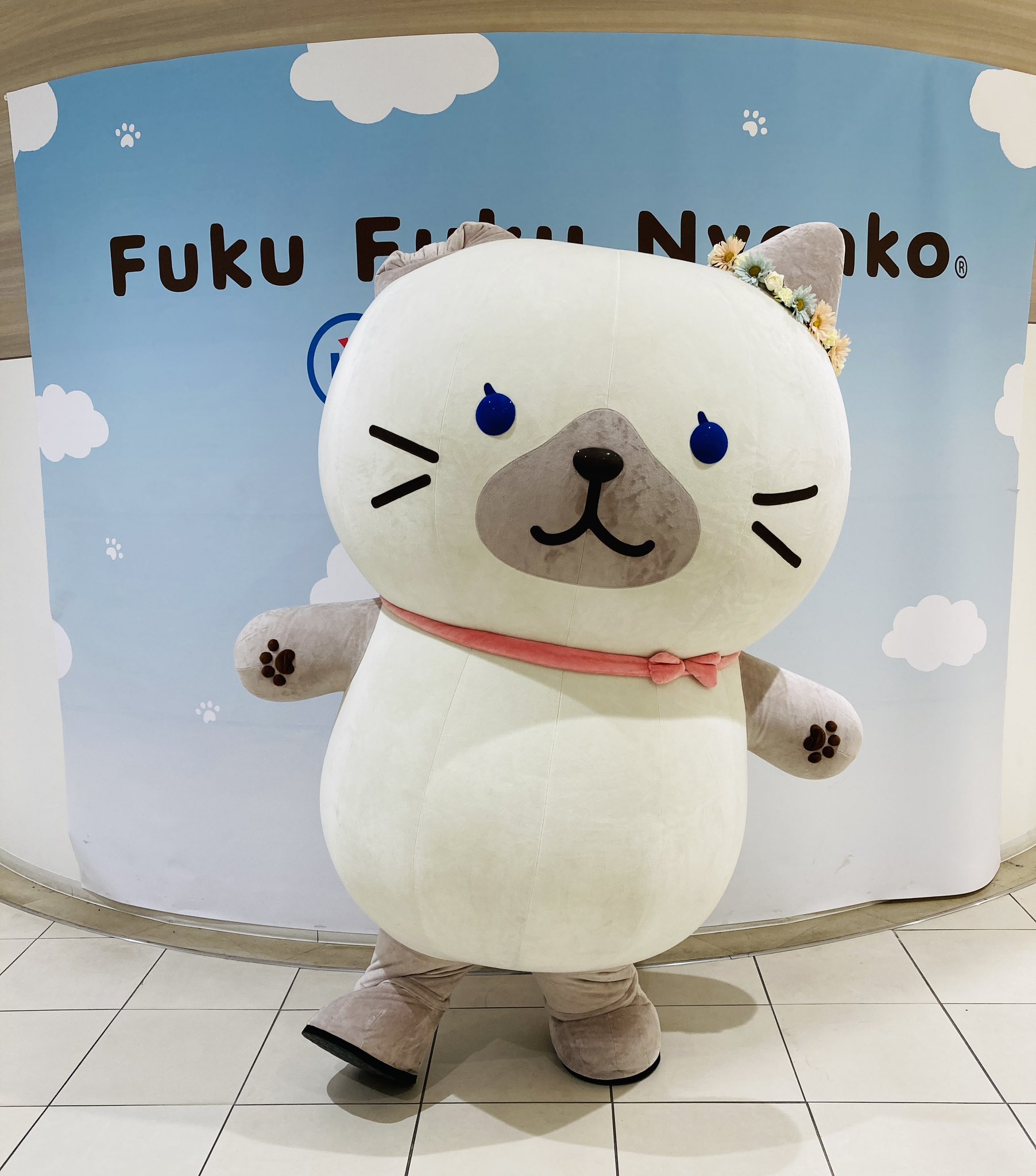 Fuku Fuku Nyanko(ふくふくにゃんこ) on X: 
