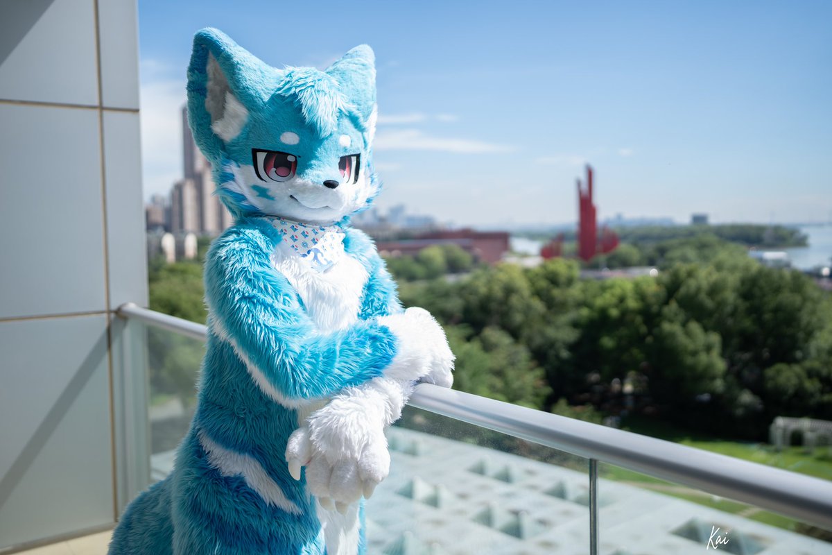 你的眼里，光芒万丈