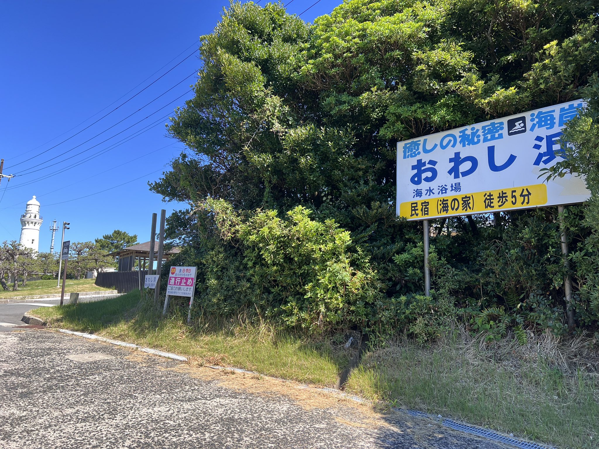 民宿・旅館 ちどり荘 on X: 