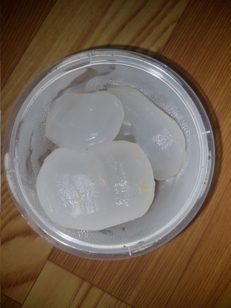 textalterego's tweet image. Siwalan / buah lontar
Dulu 2023 ngidam ini pas ada si twins. Tapi gak dapet. Bahkan udah nitip sama yg di jawa pun gak dapet.
Ehhh tadi ke pasar ada yg jual dong 🥹 1 buah 40k
Dan akhirnya kesampaian
Nak, hadir lagi sebagai adikmu dengan versi terbaik ya nak 🙏