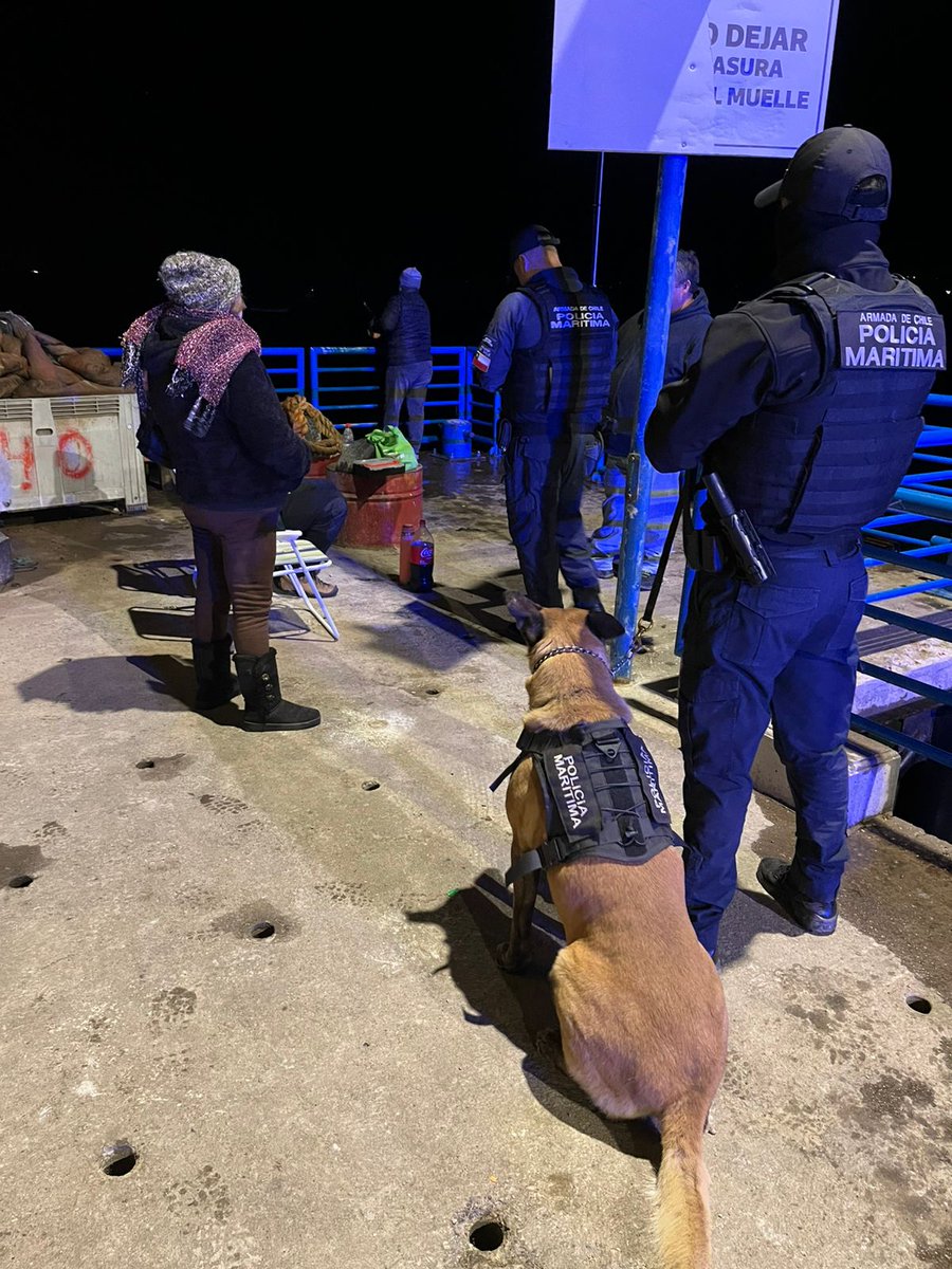 Policía Marítima de Capitanía de Puerto de Los Vilos junto a Binomio Canino de Gobernación Marítima de Coquimbo efectuan patrullaje nocturno en borde costero, realizando controles de identidad preventivos y reforzando el autocuidado durante el evento de marejadas en desarrollo.