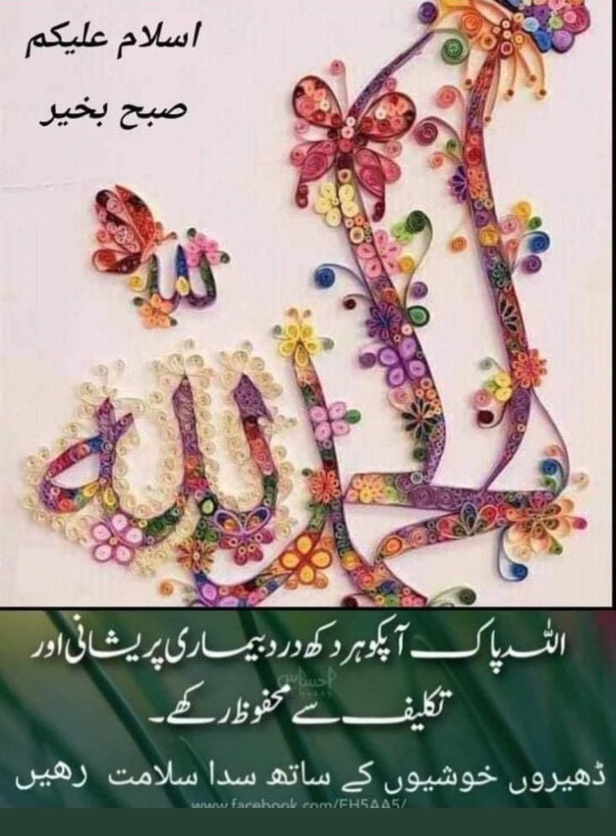 اسلام و علیکم ورحمت اللہ و برکاتہ
صبح بخیر زندگی
پیارے دوستو ہمیشہ خوش رہیں سلامت رہیں اور خوشحال رہیں اپنے پیاروں سمیت آباد رہیں۔آمین ثمہ آمین