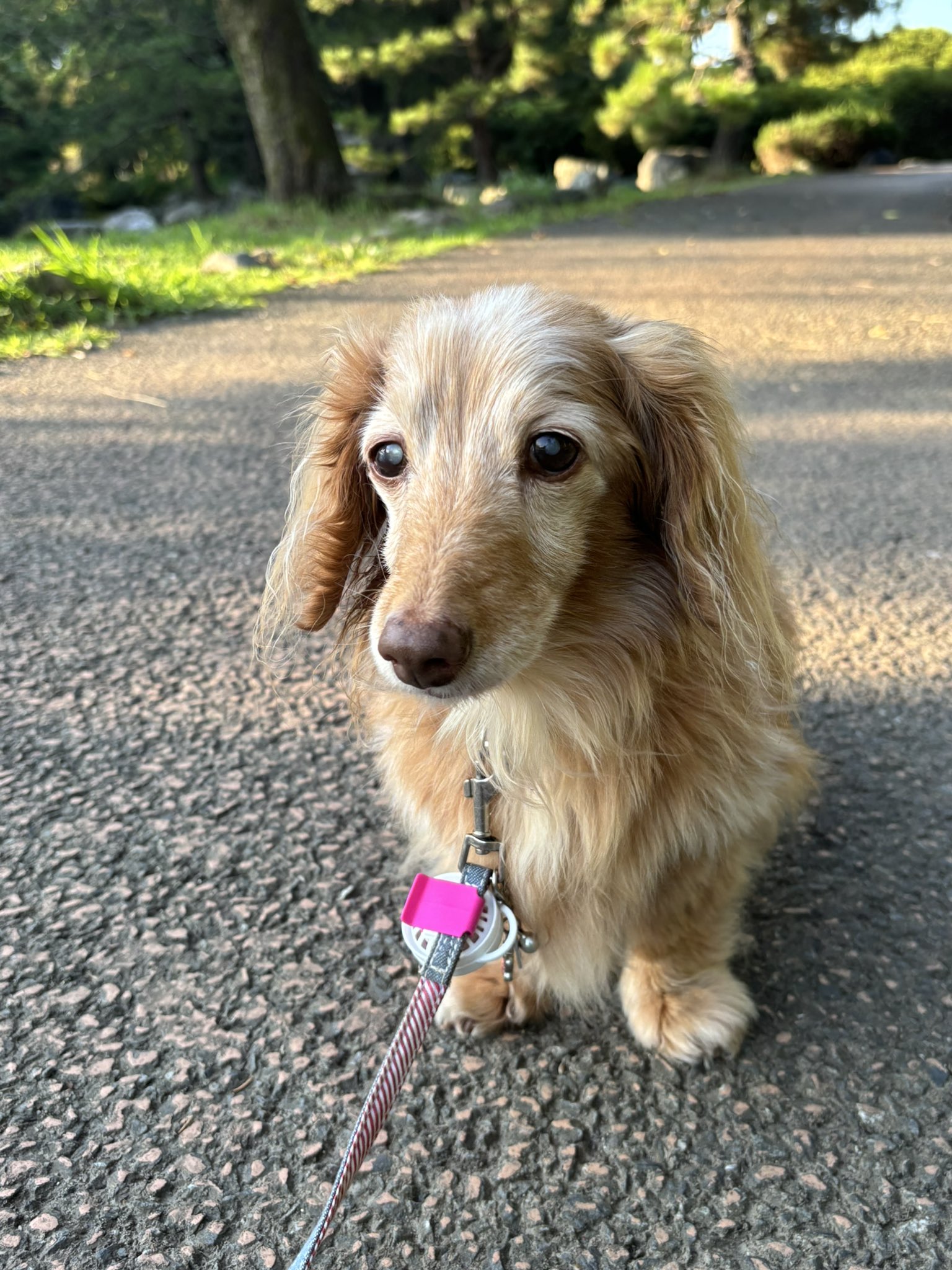 マーシー (@HRGJqDVwHOPFXwG) / X