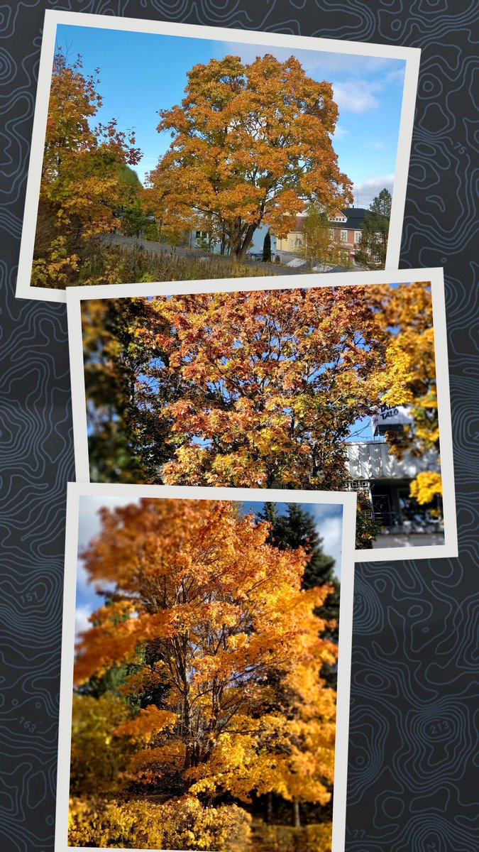 Syksy nurkilla🫡