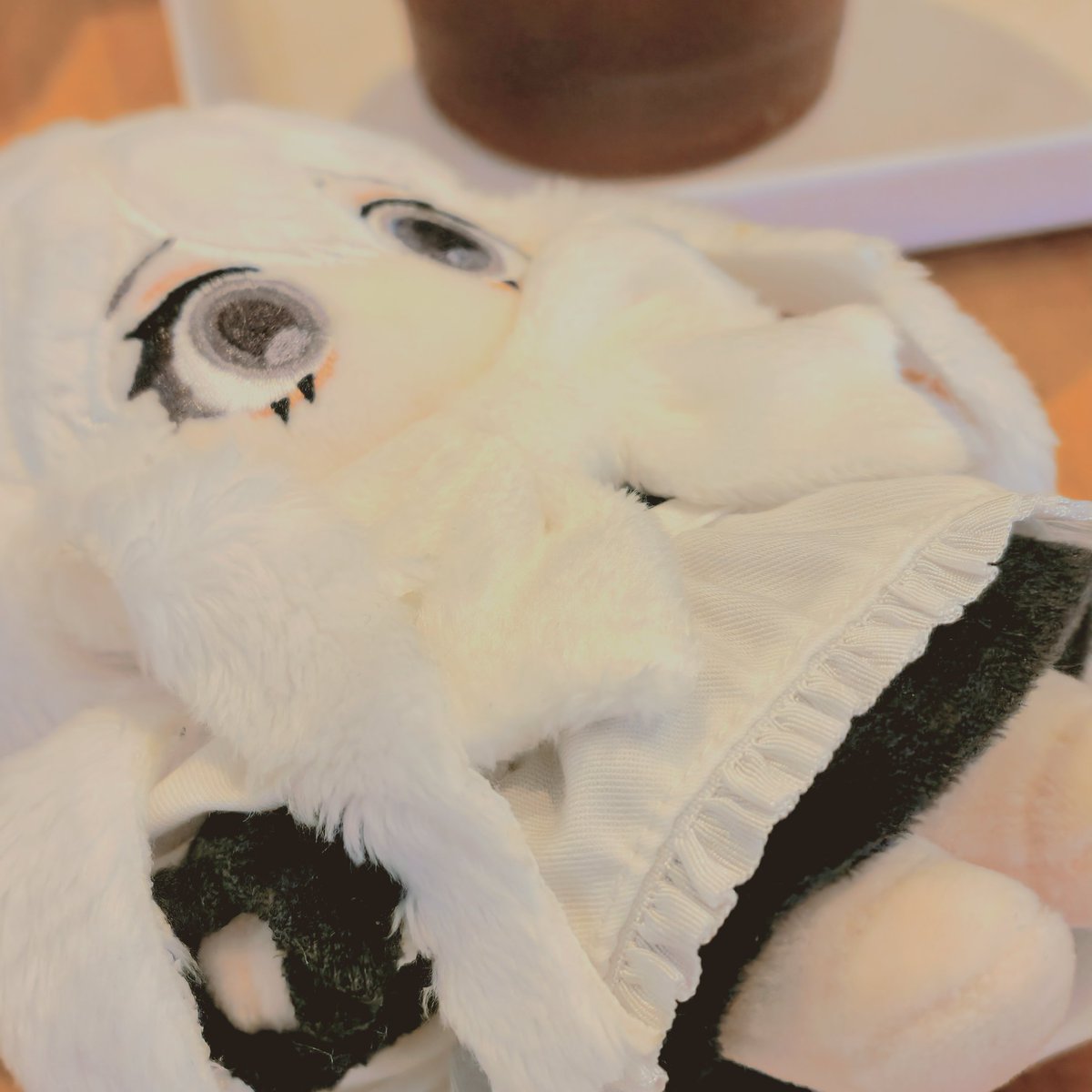 #전방_하얀_쳐다봄주의