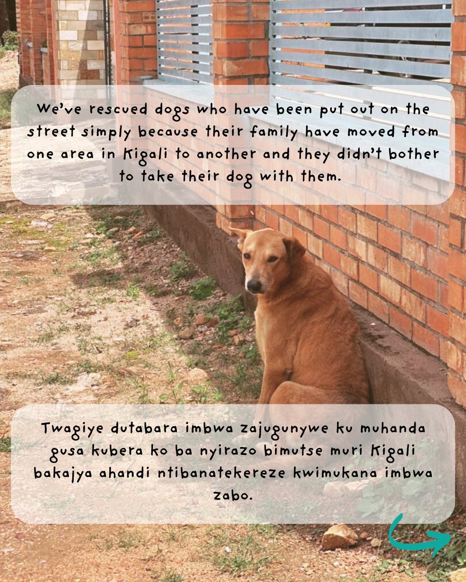 WAG Rwanda tweet media