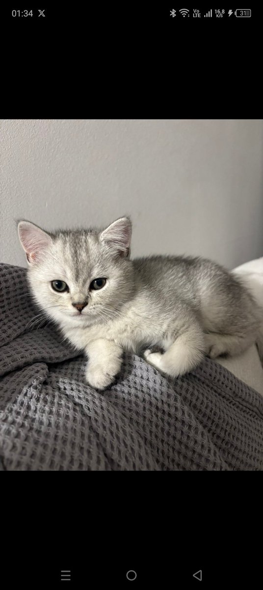 Hayırlı sabahlar
Mutlu hafta sonları...