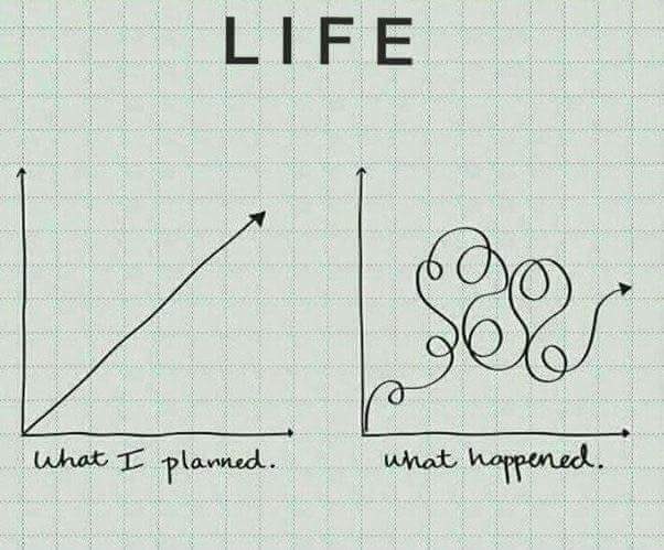 LeicsCares's tweet image. Life seldom goes as planned! #Complexity