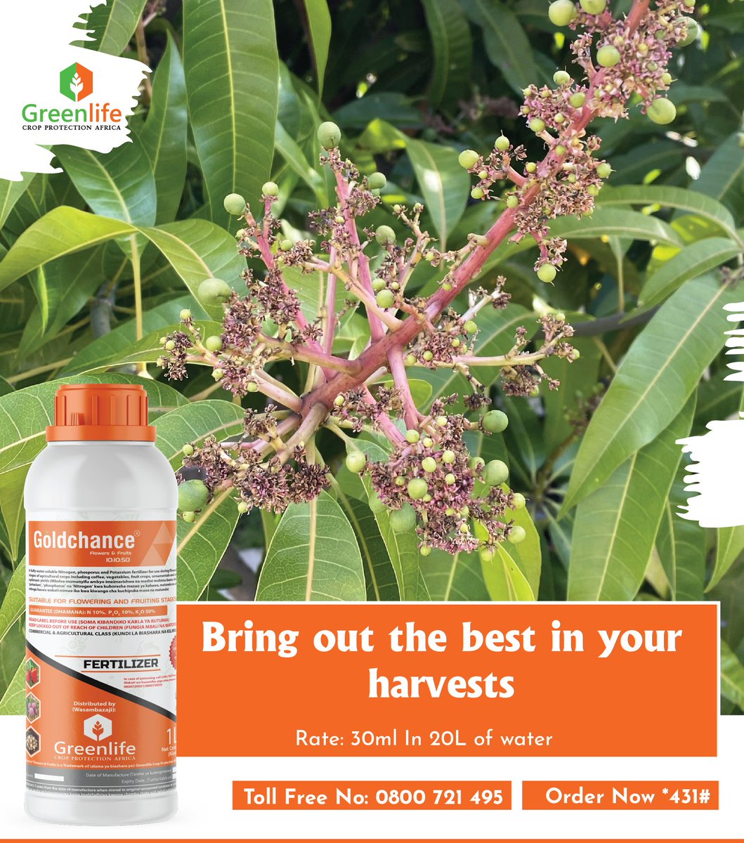 Dreaming of bumper harvests with bigger, tastier, and brighter fruits?
From tomatoes and capsicums to mangoes and passion fruits, give your crops the nutrition they deserve with Liquid Goldchance Flower and Fruits.
At flowering and fruiting, plants need more than rain and