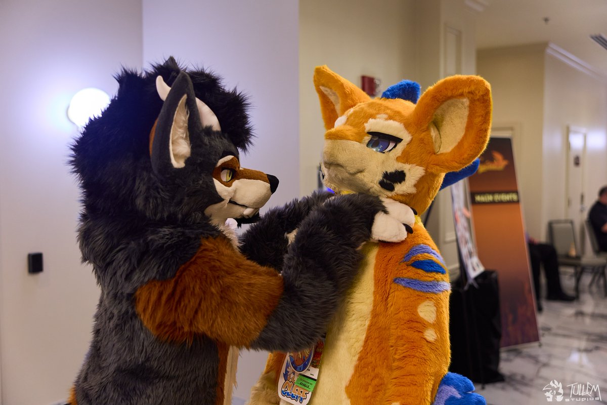 "I don't have any lunch money!" #FursuitFriday 

🐾: <a href="/Drayne_the_Wolf/">Drayne the 🐺🐲</a> 
📷: <a href="/tullembrat/">Tullem🔜FD, MP, AFC</a>